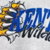 Kastiger Hoodie mit Grafik der University of Kentucky Wildcats